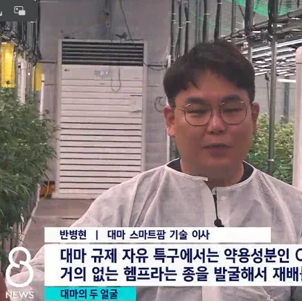 마약이면서 치료제?…'50조 시장' 코앞인 대마 활용법