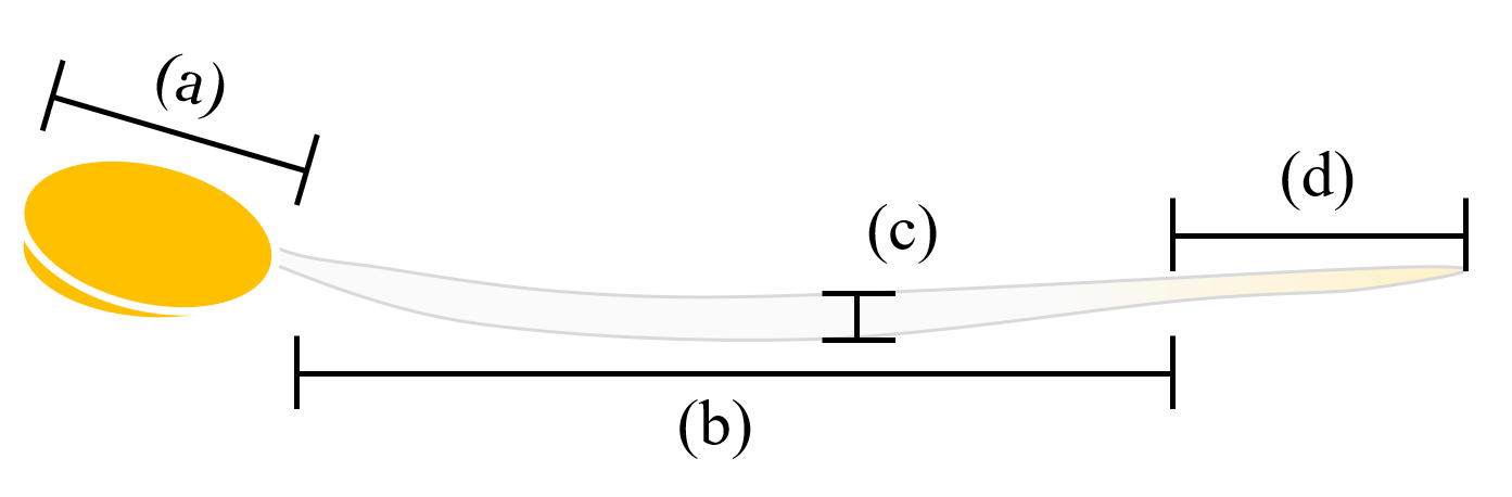 Fig. 2. (a) head length, (b) body length, (c) body thickness, (d) tail length