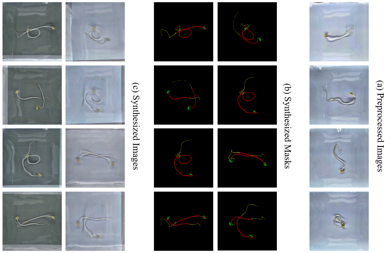Fig. 4. Image decomposition dataset overview.