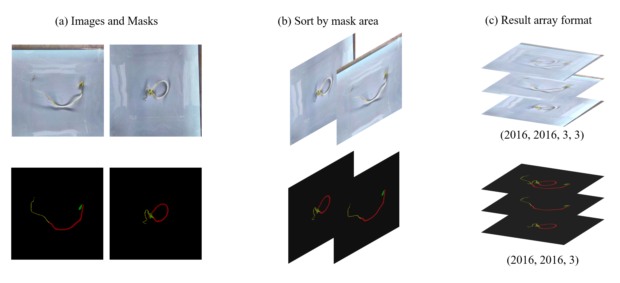 Fig. 5. Array building strategies. (a) raw images and masks to merge, (b) sort the data by non-zero area of mask, (c) the array format and dimensions of training-ready data for images and masks.