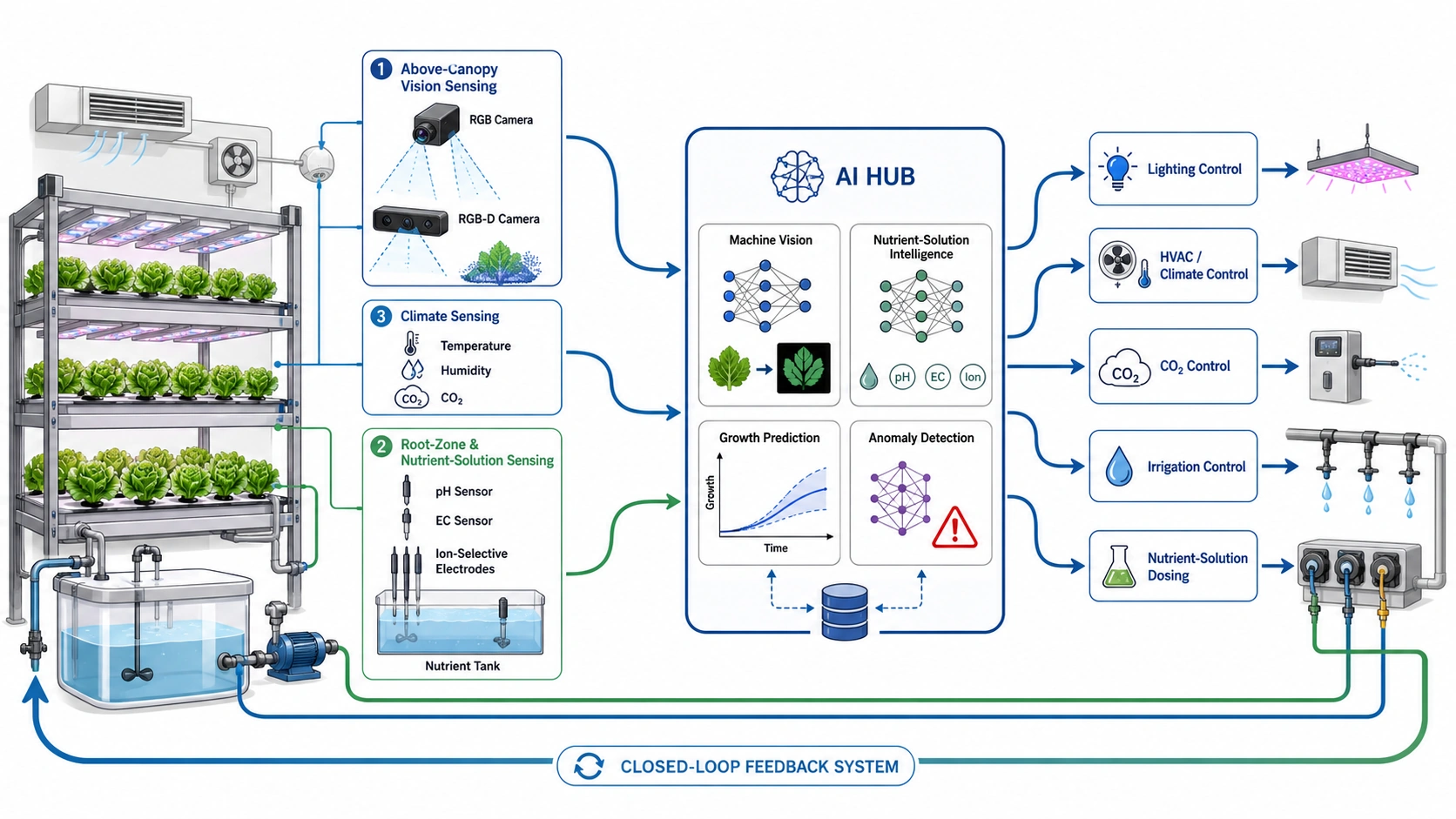Figure 2. Closed-loop AI operation for plant factories, integrating above-canopy sensing, root-zone nutrient sensing, climate sensing, AI modules, and actuator control.