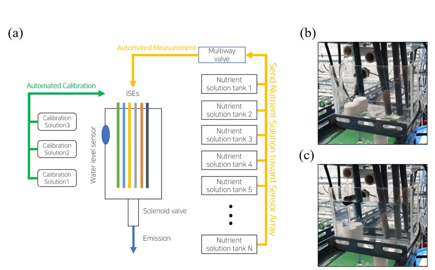Figure 2. Sensor array system. (a) Architecture of sensor array. (b) Nutrient solution sample is transported to the container. (c) The container is filled with sample solution. The sensor on the figure is now floating.