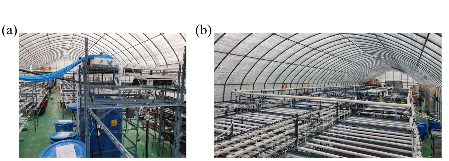 Figure 4. Installed system (a) and the vertical smart farm used for operation test.