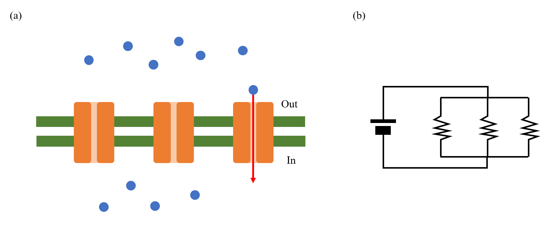 Figure 1. Ion channels are considered as electrical resistances