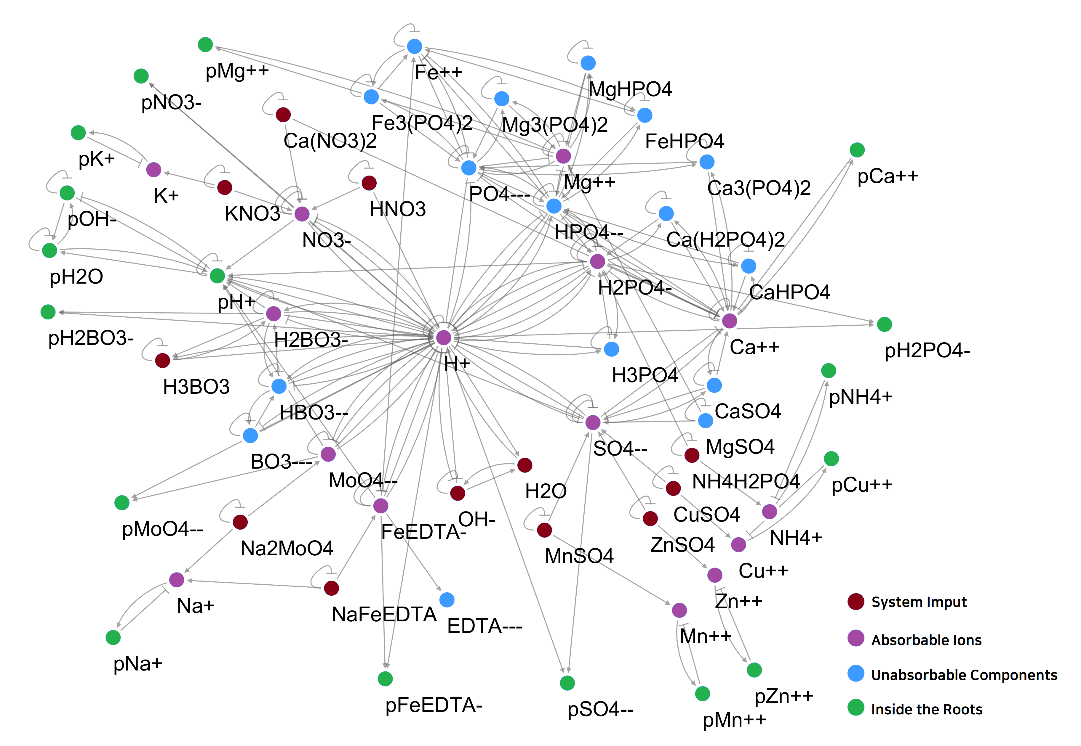 Figure 2. The network topology of plant and nutrient solution interaction model